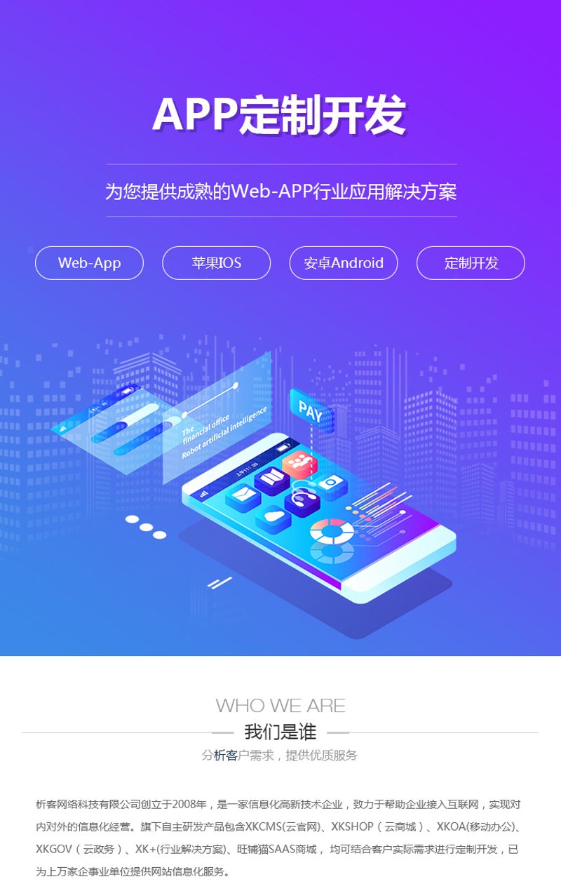构建企业的智能大脑：进销存系统开发的重要性